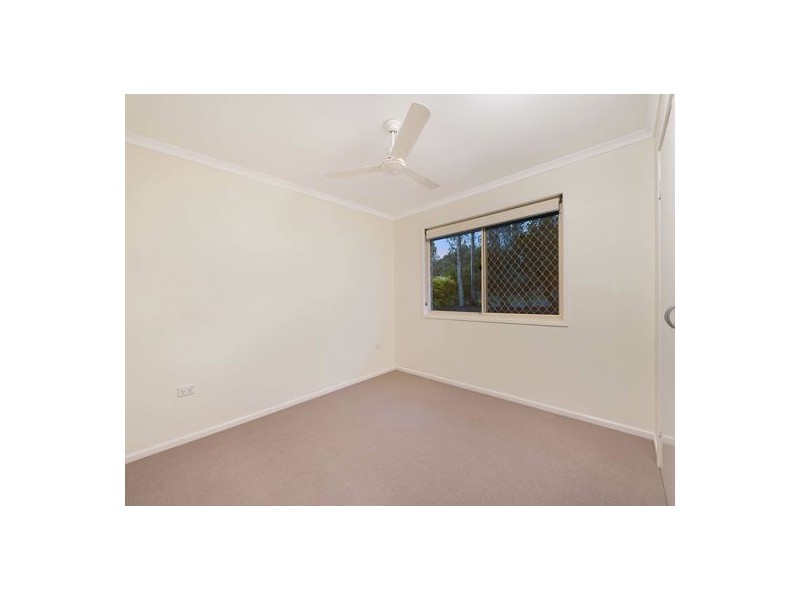 6 Rainbird Court, Palmwoods QLD 4555