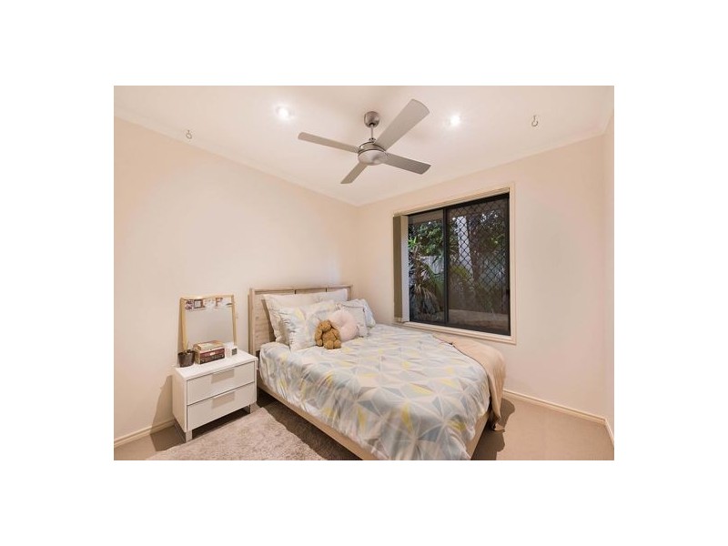 16 Rock Fig Court, Palmwoods QLD 4555