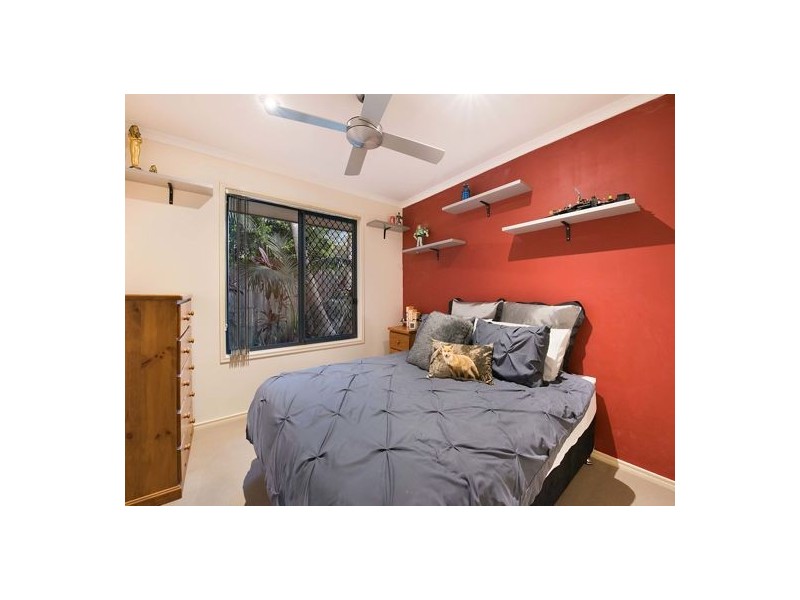 16 Rock Fig Court, Palmwoods QLD 4555