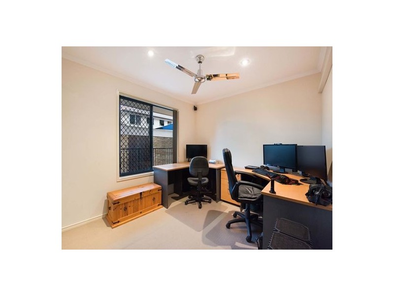 16 Rock Fig Court, Palmwoods QLD 4555
