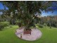85 McKees Road, Palmwoods QLD 4555