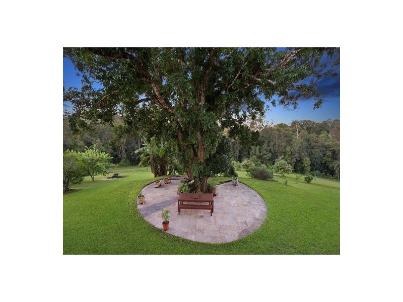 85 McKees Road, Palmwoods QLD 4555