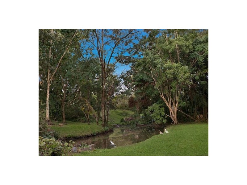 40 Maleny Street, Landsborough QLD 4550