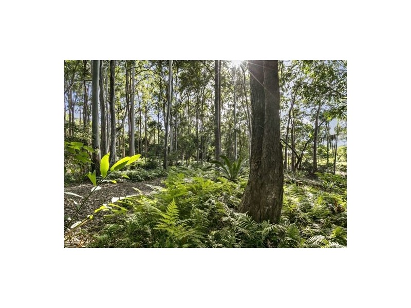 48 Golden Valley Place, Valdora QLD 4561