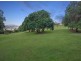 55 McKees Road, Palmwoods QLD 4555