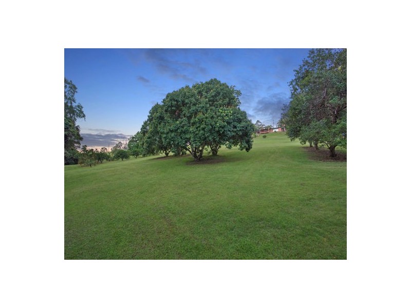 55 McKees Road, Palmwoods QLD 4555