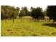 Glass House Mountains QLD 4518