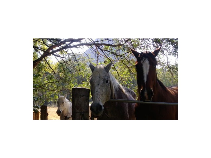 Glass House Mountains QLD 4518