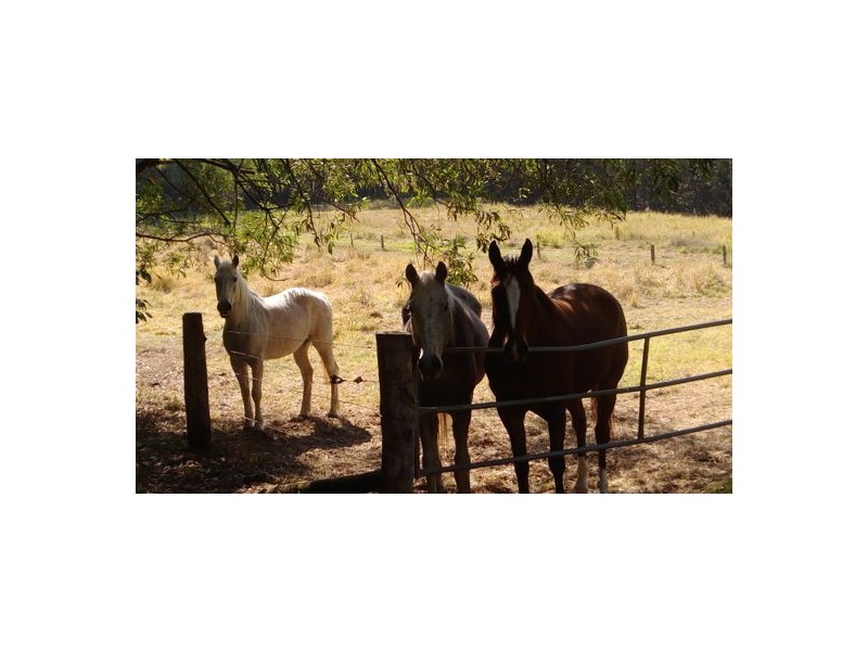 Glass House Mountains QLD 4518