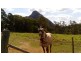 Glass House Mountains QLD 4518