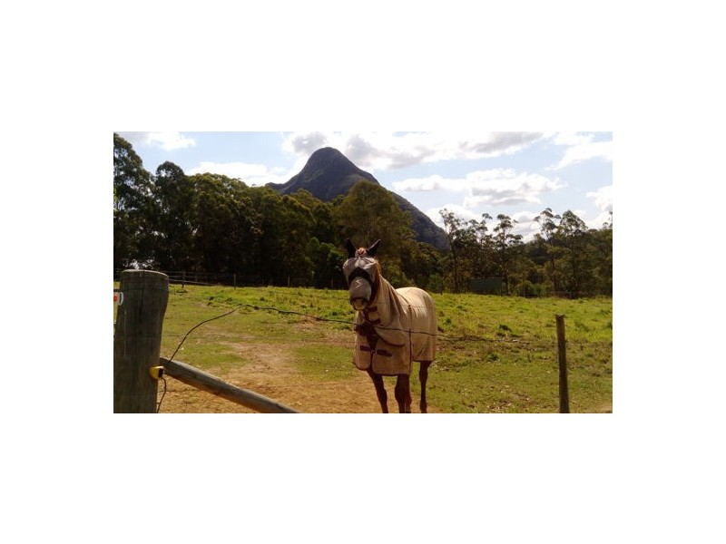 Glass House Mountains QLD 4518
