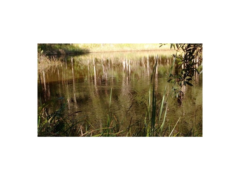 Glass House Mountains QLD 4518