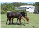 13 Vinces Way, Kureelpa QLD 4560