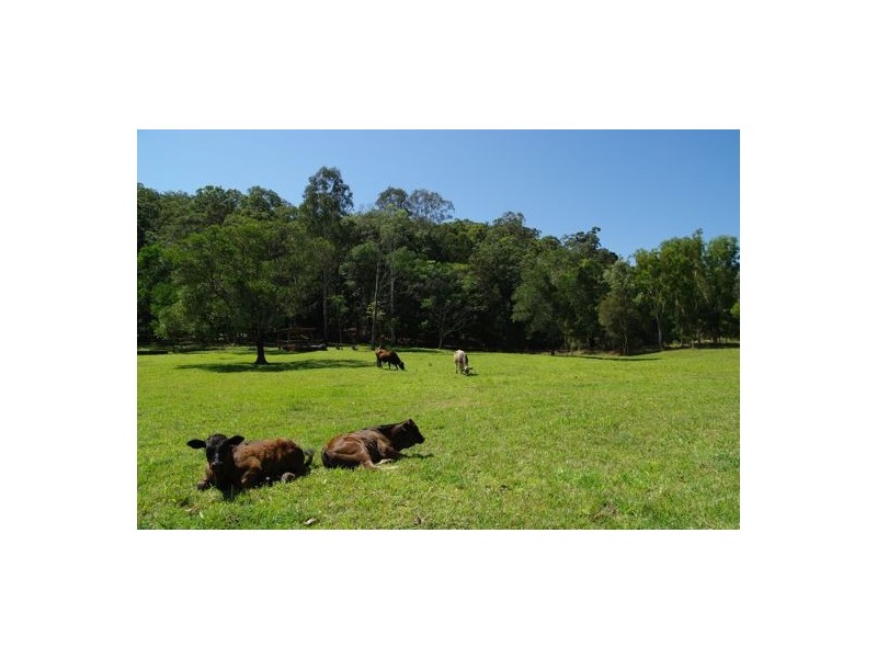 745 Cedar Creek Rd, Gheerulla QLD 4574