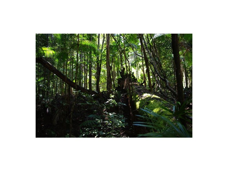 745 Cedar Creek Rd, Gheerulla QLD 4574