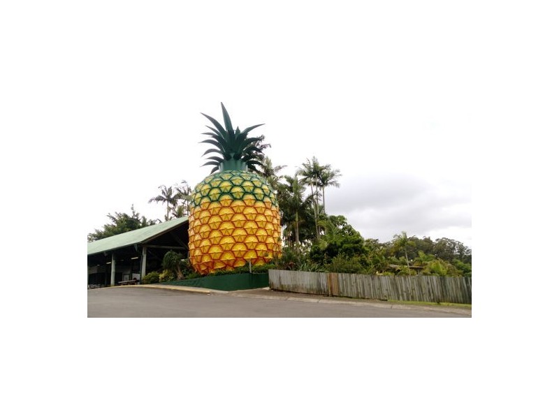 2/1 Gallows Place, Palmwoods QLD 4555