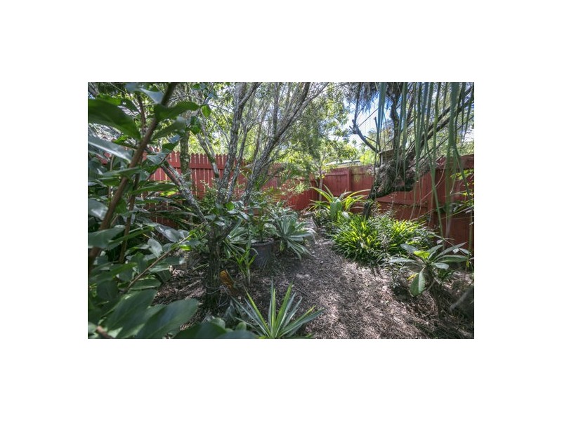 2 Mariposa Court, Bli Bli QLD 4560