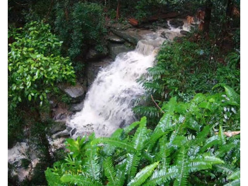 52-56 Crosby Hill Road, Buderim QLD 4556