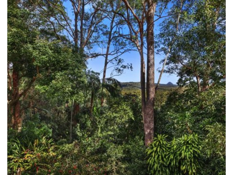 52-56 Crosby Hill Road, Buderim QLD 4556