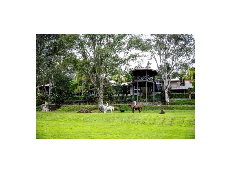 49 Twin Peaks Road, Bli Bli QLD 4560