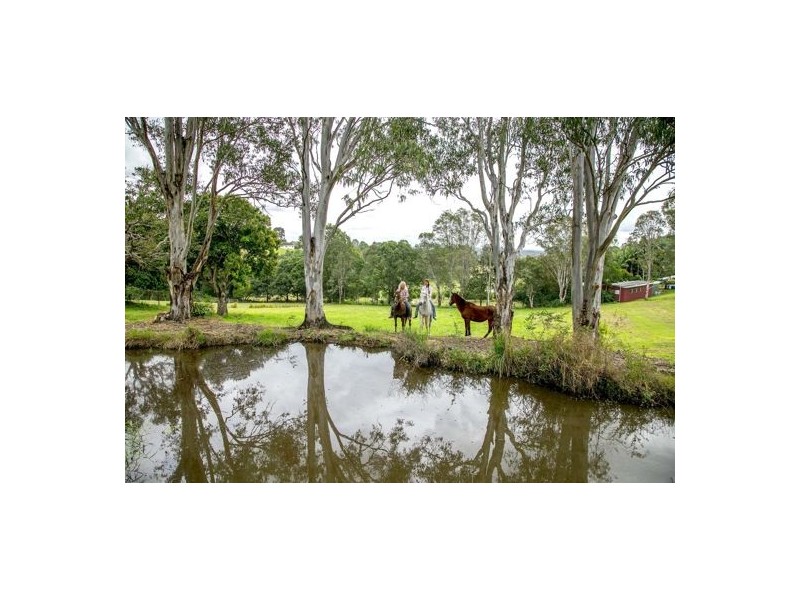 49 Twin Peaks Road, Bli Bli QLD 4560