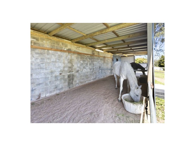 49 Twin Peaks Road, Bli Bli QLD 4560