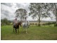 49 Twin Peaks Road, Bli Bli QLD 4560