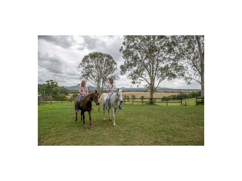 49 Twin Peaks Road, Bli Bli QLD 4560