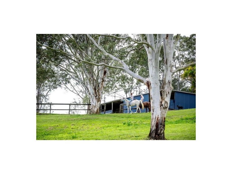 49 Twin Peaks Road, Bli Bli QLD 4560