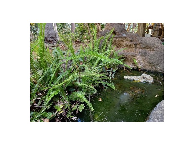 1 Edwin Road, Buderim QLD 4556