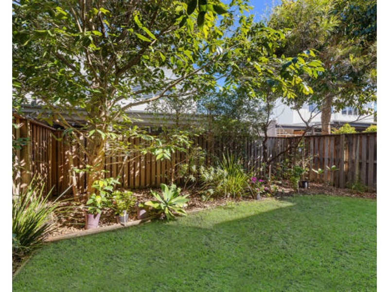 Mount Coolum QLD 4573