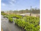 38 Dandaloo Drive, Cootharaba QLD 4565