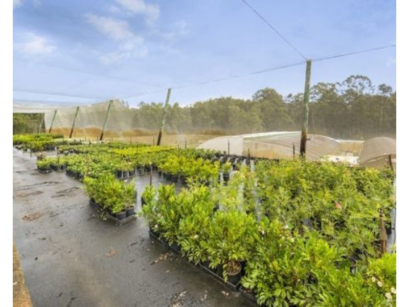 38 Dandaloo Drive, Cootharaba QLD 4565