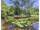 38 Dandaloo Drive, Cootharaba QLD 4565