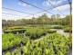 38 Dandaloo Drive, Cootharaba QLD 4565
