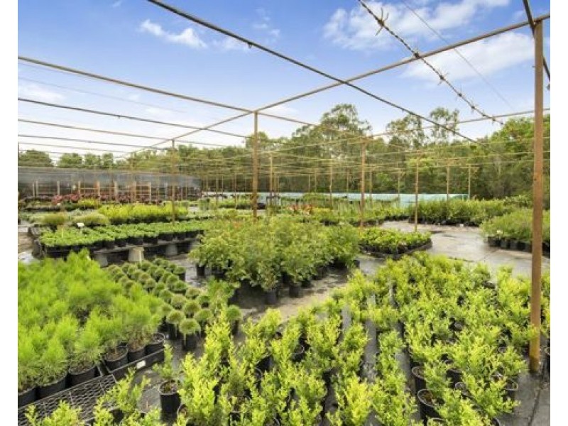 38 Dandaloo Drive, Cootharaba QLD 4565