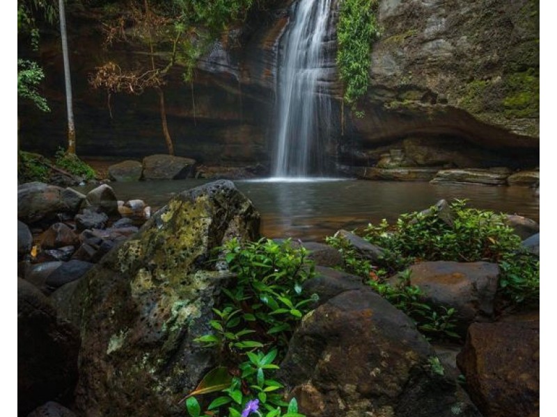 Buderim QLD 4556