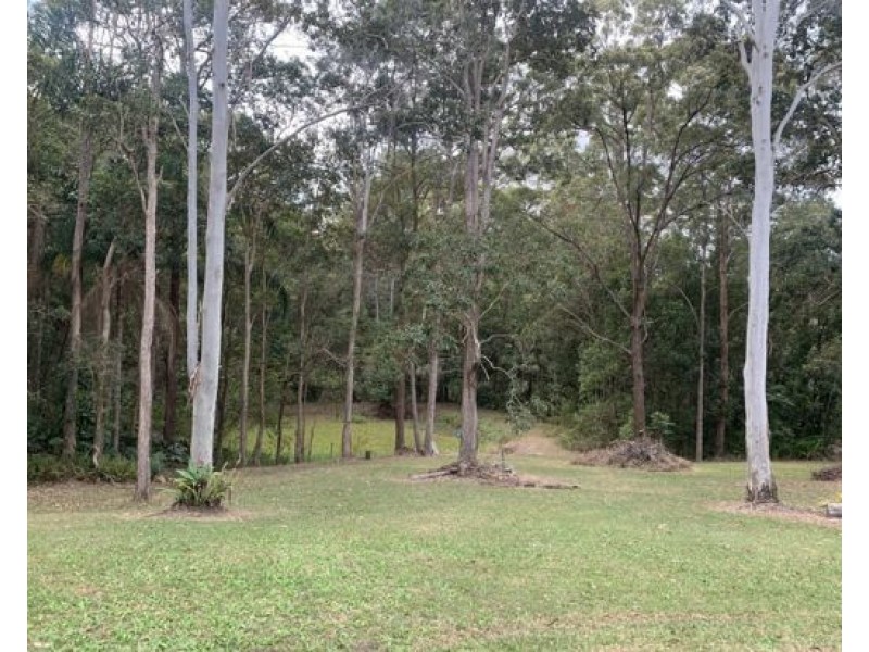 Mooloolah Valley QLD 4553