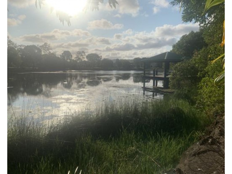 Sippy Downs QLD 4556