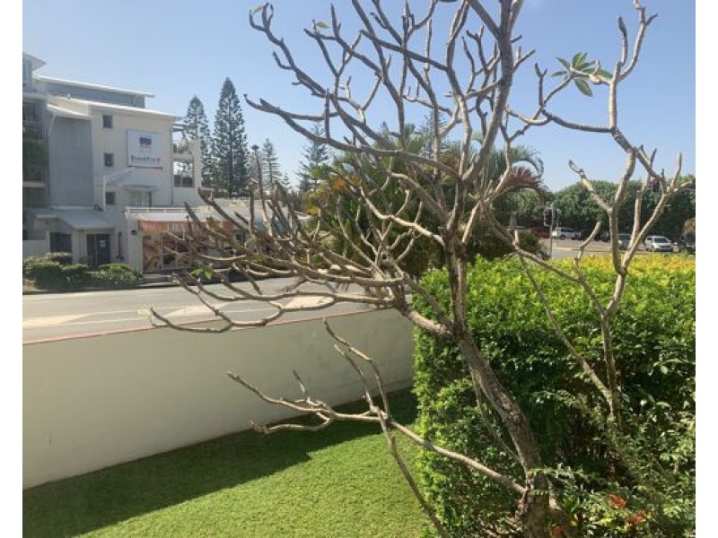 Alexandra Headland QLD 4572