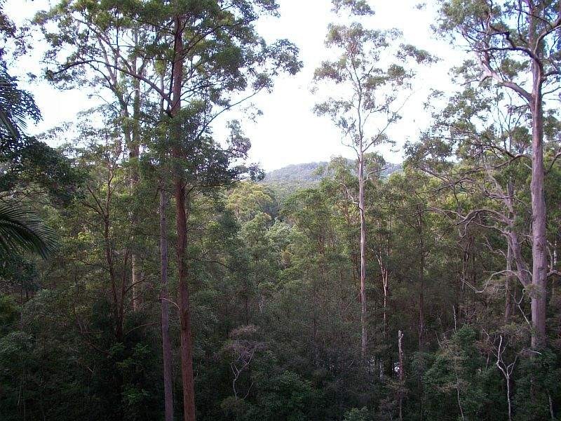 127-131 Vise Road, Buderim QLD 4556