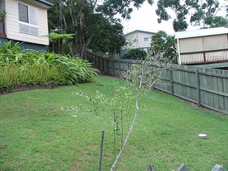 6 Bluegum Court, Little Mountain QLD 4551