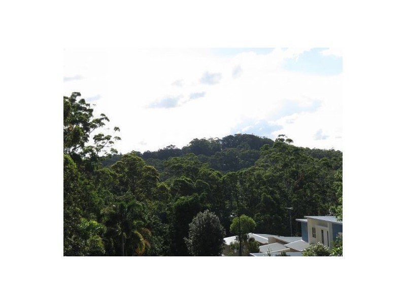 40 Martins Creek Road, Buderim QLD 4556