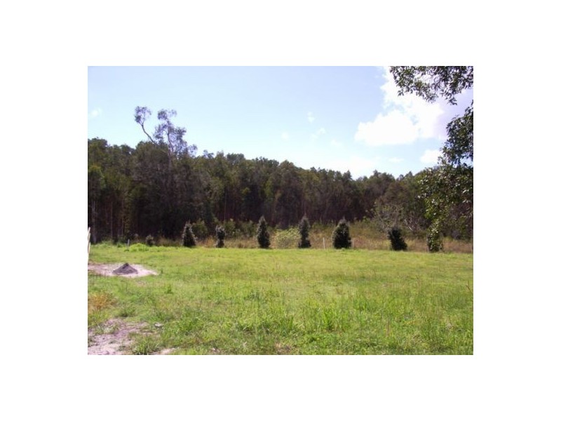 19A Sunrise Ave, Tewantin QLD 4565