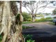 14 Hay Street, Tewantin QLD 4565