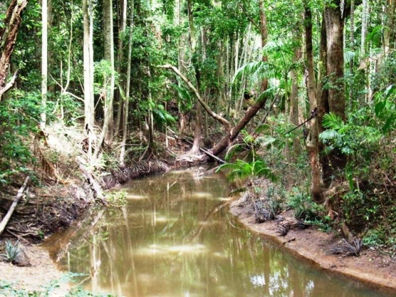 180 Seib Road, Eumundi QLD 4562