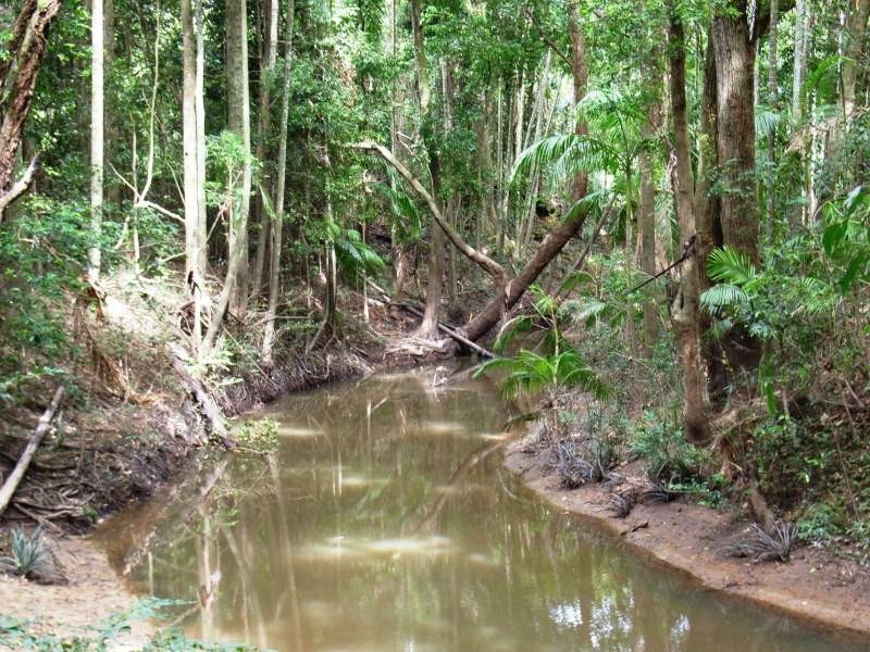 200 Seib Road, Eumundi QLD 4562