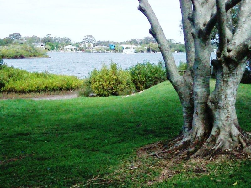 14 Hay Street, Tewantin QLD 4565