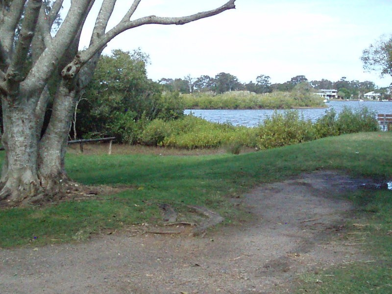 14 Hay Street, Tewantin QLD 4565