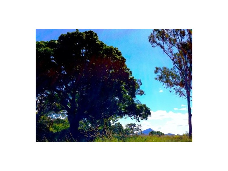 223 North Arm Road, Eumundi QLD 4562